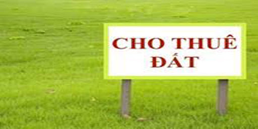 Chính chủ cho thuê đất làm kho xưởng hoặc văn phòng tại Ngõ 229B đường Nguyễn Văn Linh, quận Long Biên, Hà Nội.